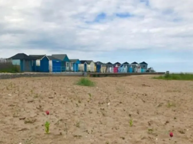 El Sea House